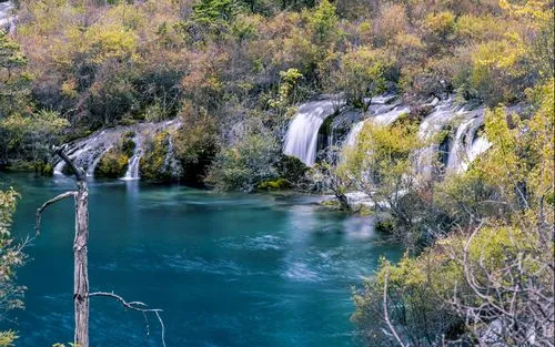 精密稳定性
